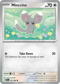 Minccino